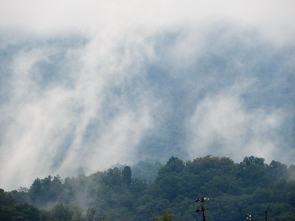 e0372207_1733146.jpg