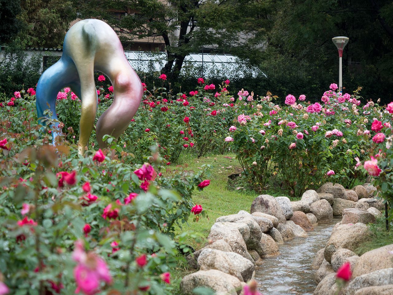 雨上りの靭公園～後編_b0225108_18155167.jpg