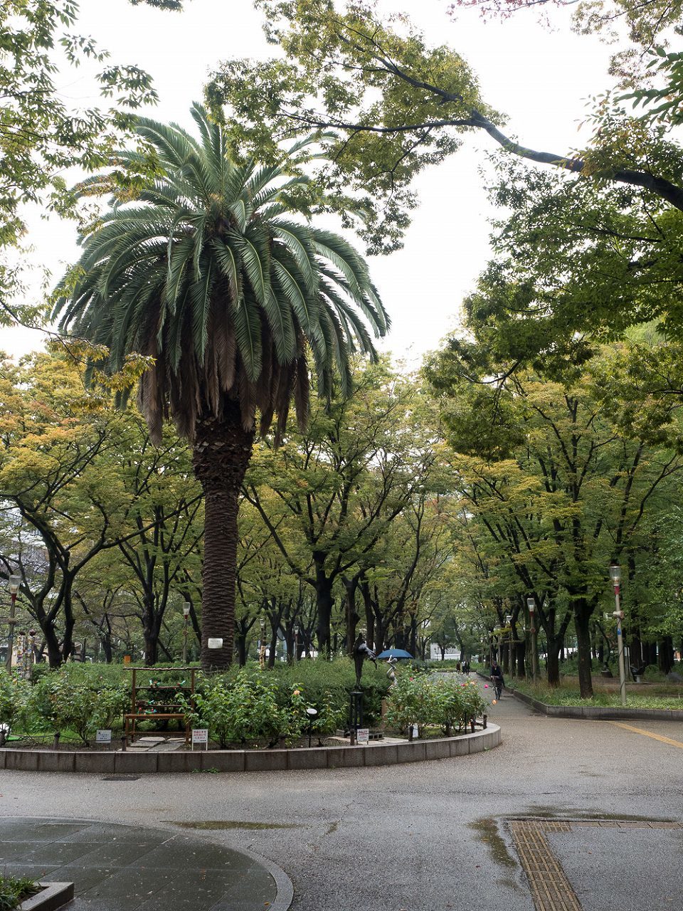 雨上りの靭公園～後編_b0225108_18155314.jpg