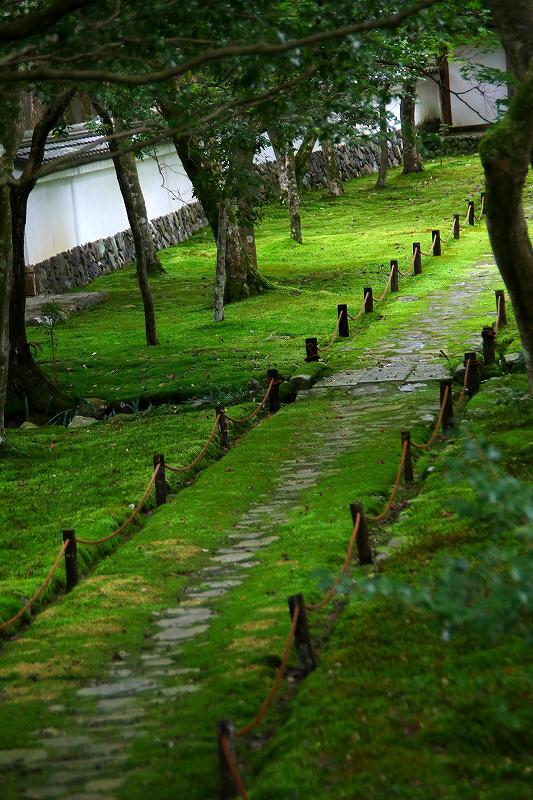 世界遺産　　苔寺_d0360910_16454183.jpg