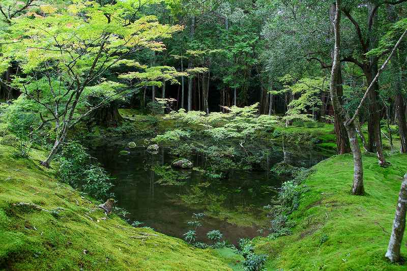 世界遺産　　苔寺_d0360910_16461102.jpg