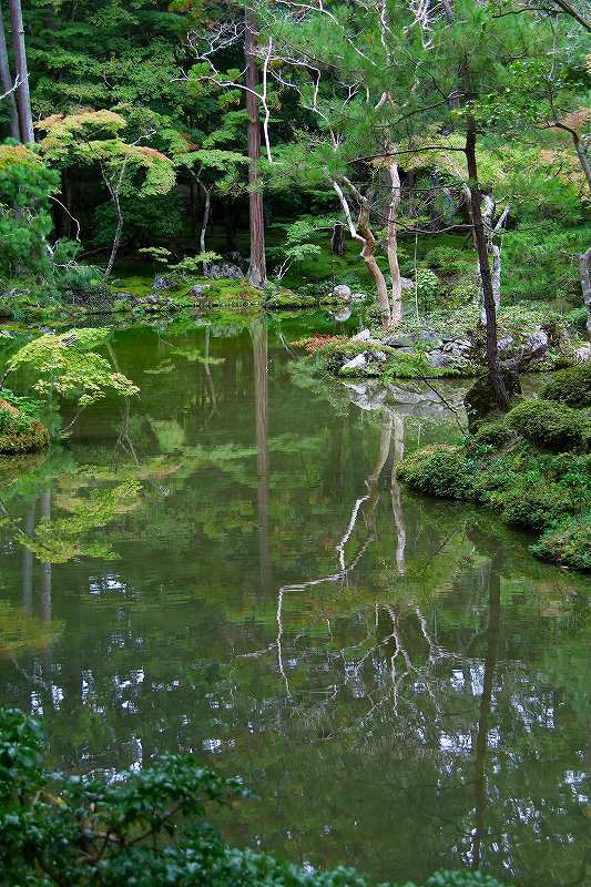 世界遺産　　苔寺_d0360910_16502231.jpg