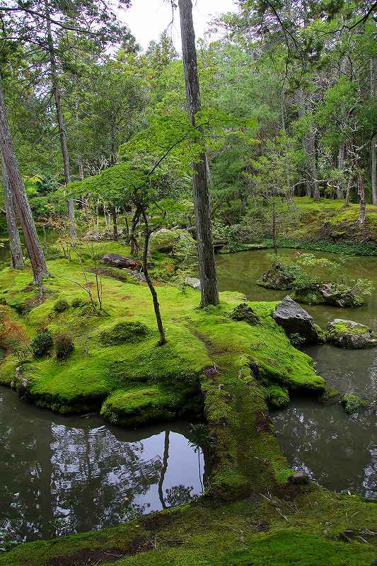 世界遺産 苔寺_d0360910_16522987.jpg