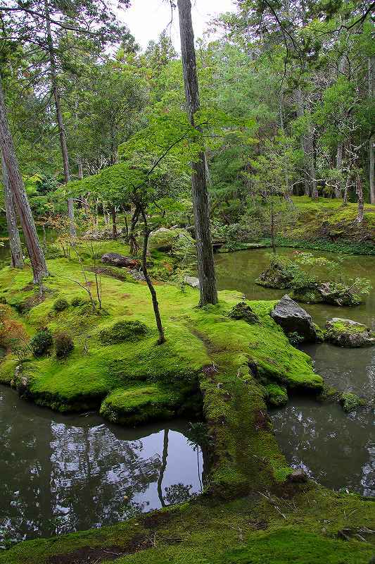 世界遺産　　苔寺_d0360910_16522987.jpg