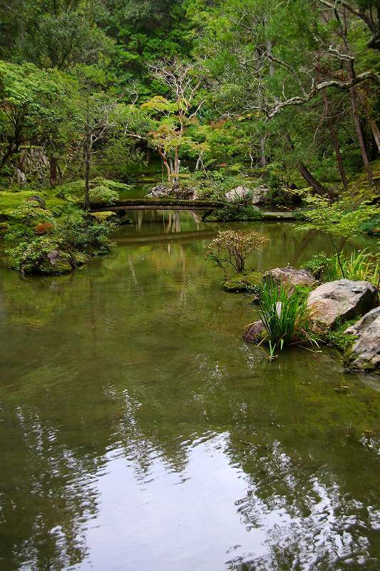 世界遺産　　苔寺_d0360910_16524333.jpg