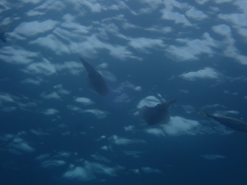 d0070216_19564983.jpg