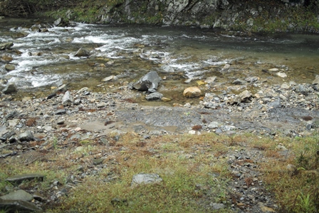 昼過ぎから本降りのに・・・・朽木小川・気象台より_c0044819_13485941.jpg