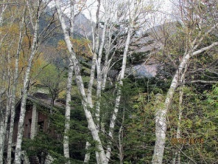 e0234924_10082045.jpg