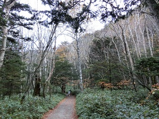 e0234924_10372817.jpg