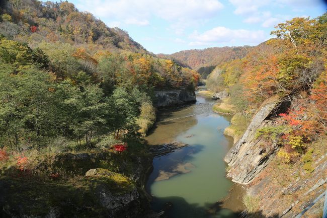 10 16 夕張 滝の上公園の紅葉 札幌発野鳥観察