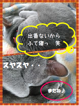 d0365027_19085330.png