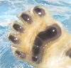 中3日もあいてるわ( ゚Д゚)_f0002743_1541774.jpg