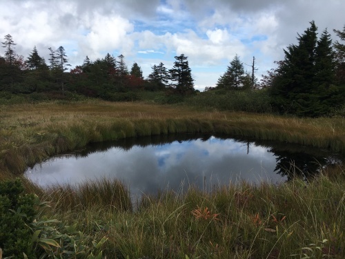 2017年9月23〜24日隊キャンプ 白根 芳ヶ平湿原編_b0338345_20473992.jpeg