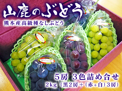 熊本ぶどう　社方園　お礼肥え（元肥）と鹿本農業高校から実習生が来ました(2017)!!その1_a0254656_16343025.jpg