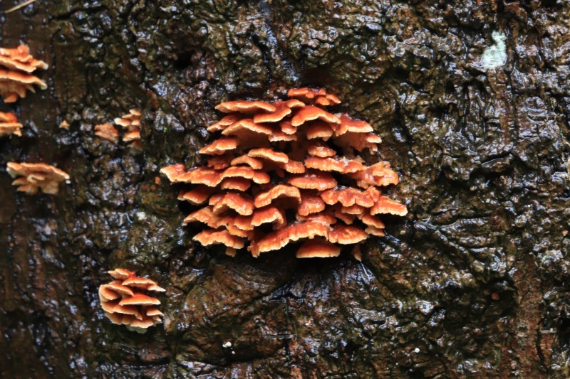 a0248459_15155871.jpg