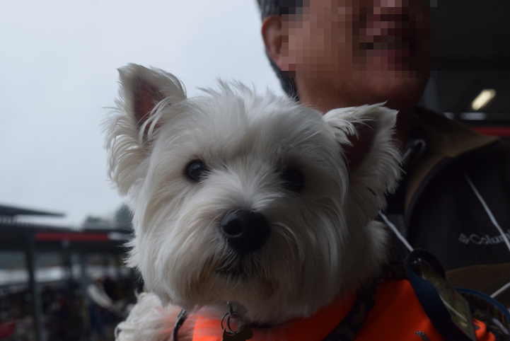 b0242873_18003967.png