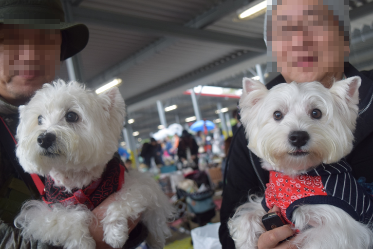 b0242873_18051142.png