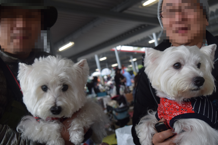 b0242873_18063134.png