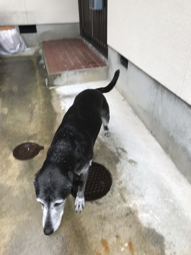 f0315081_22245410.jpeg