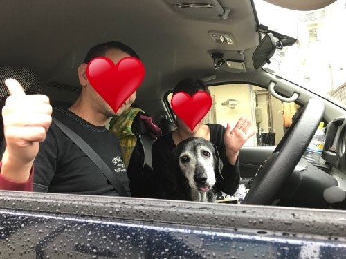 f0315081_22381890.jpeg
