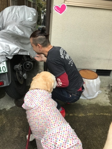 f0315081_22414694.jpeg