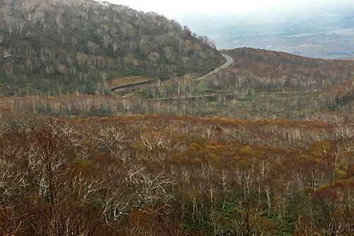 f0212586_2072990.jpg