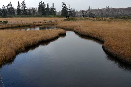 f0212586_2074327.jpg
