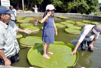 オオオニバスちゃんと人が乗れるんです 好きなものに囲まれて２