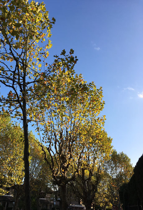 a0060003_03455014.jpg