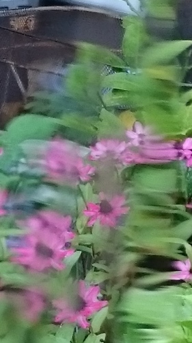 e0351303_15421442.jpg