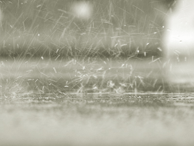 e0358504_18582930.gif