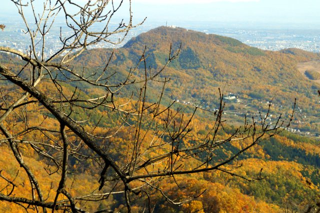 a0345007_1729359.jpg