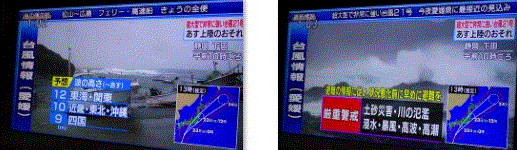 f0231709_16133461.gif
