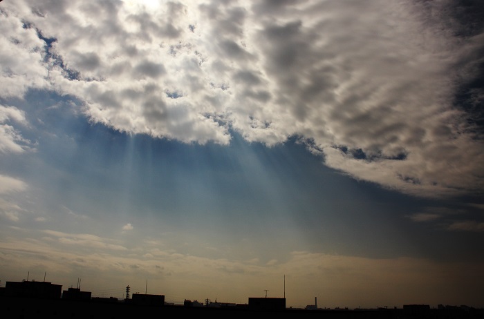 天使のはしご　（層積雲）_b0268615_16432088.jpg