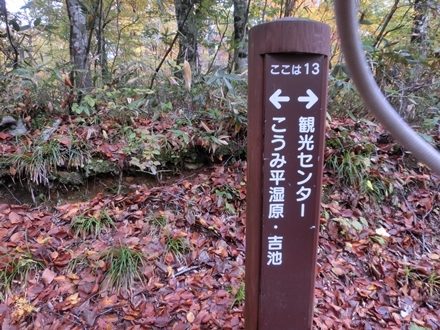 a0105023_22271568.jpg