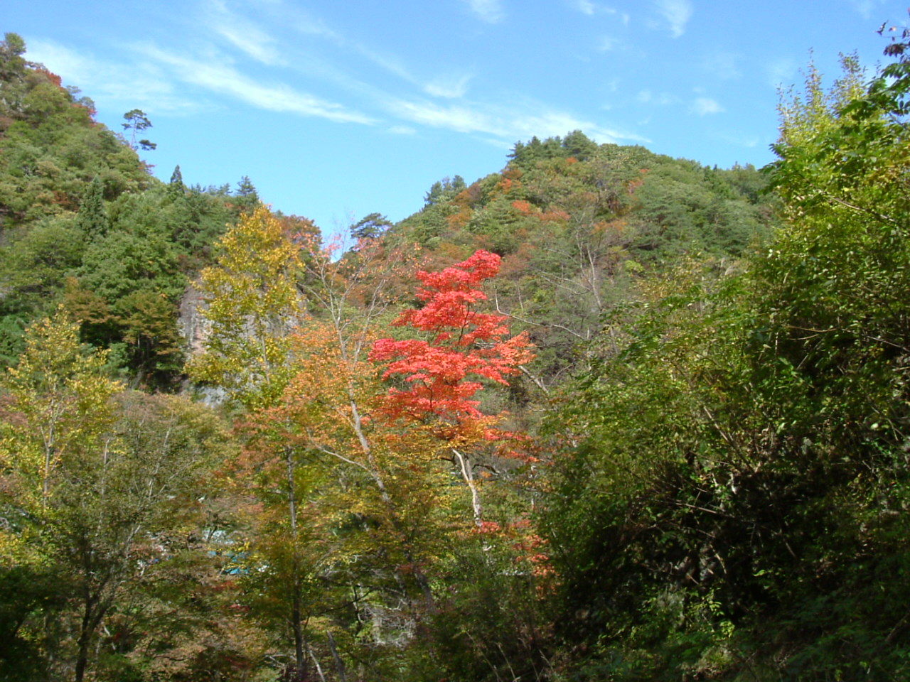 f0354923_01202686.jpg