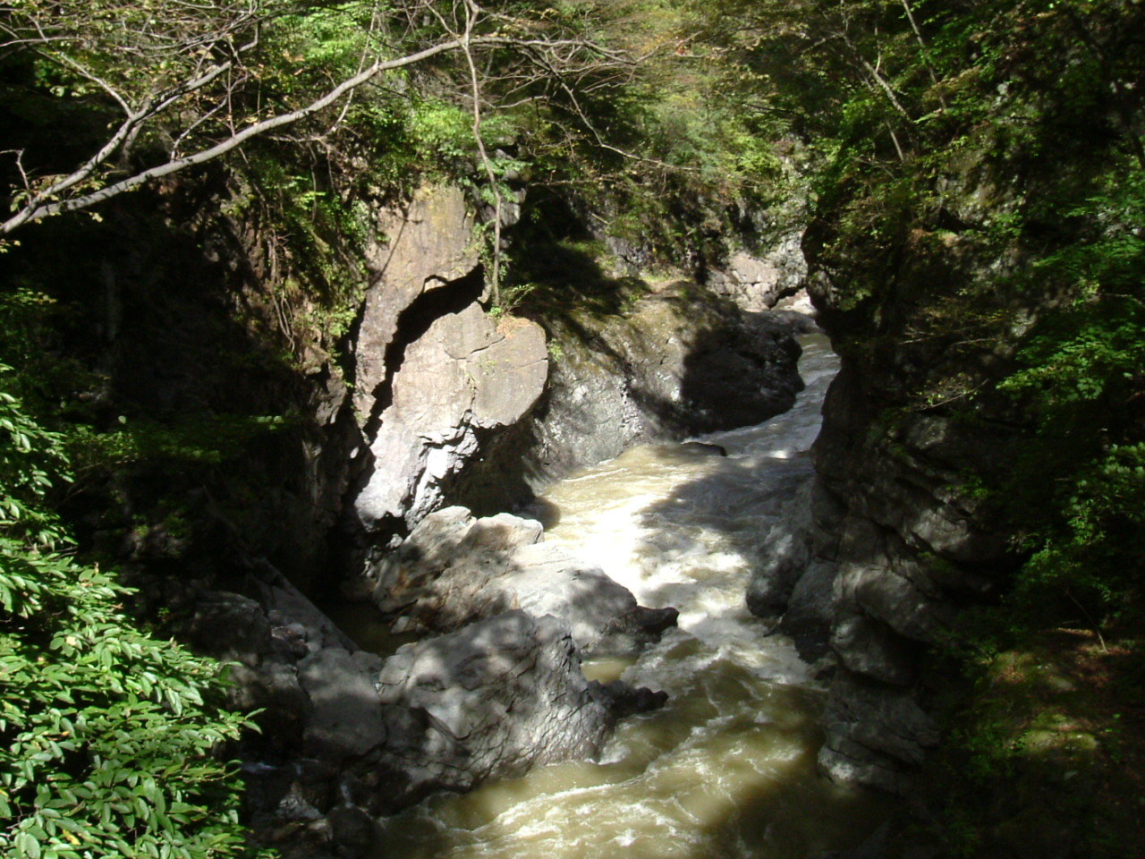f0354923_01220315.jpg
