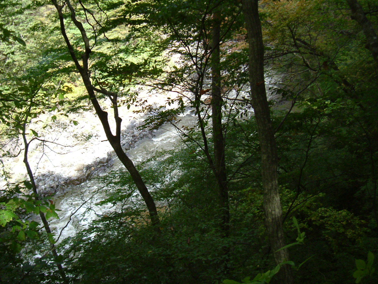 f0354923_01224639.jpg
