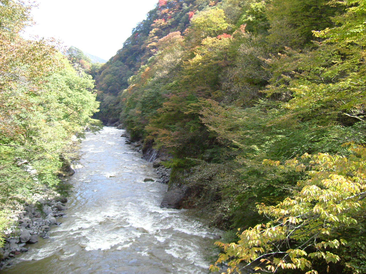 f0354923_01595231.jpg