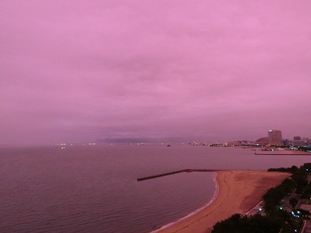 c0095424_1642969.jpg
