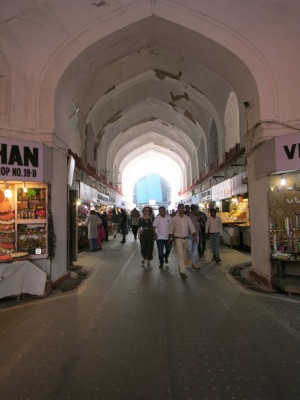 インド（デリー）とネパールの旅\'17_e0097130_22503488.jpg