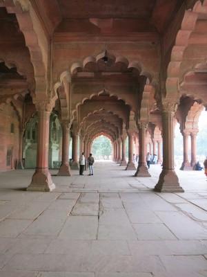 インド（デリー）とネパールの旅\'17_e0097130_22515771.jpg