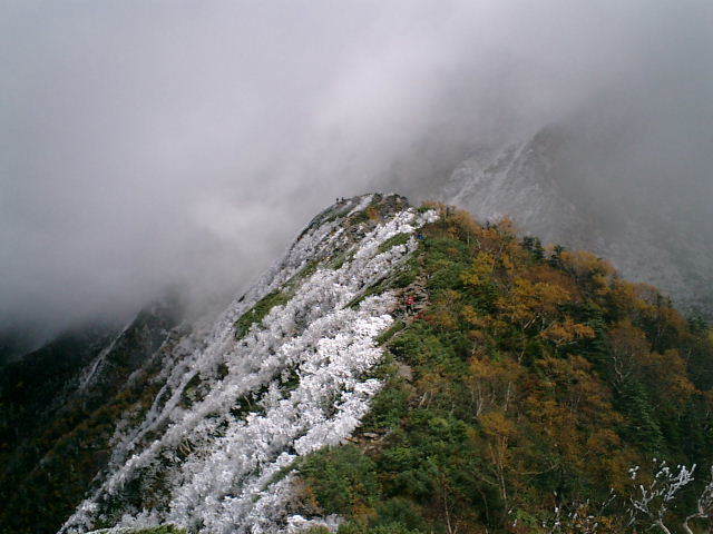 雷鳥日記5〜段差と下り〜_b0133032_02162118.jpg