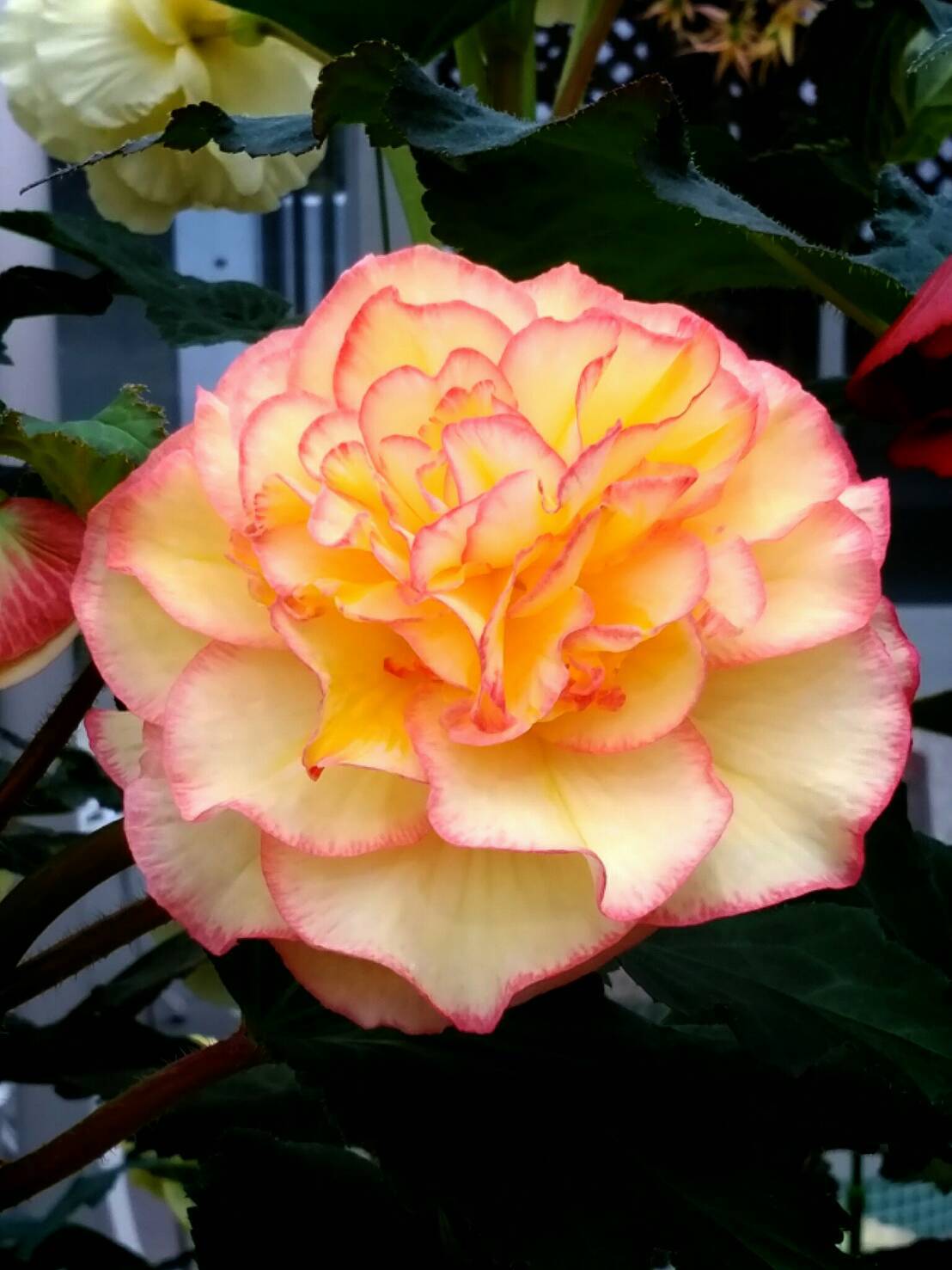 b0287752_13024554.jpg
