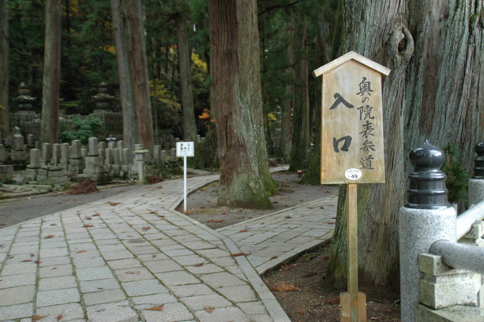 　　奥の院参道_b0093754_20444272.jpg