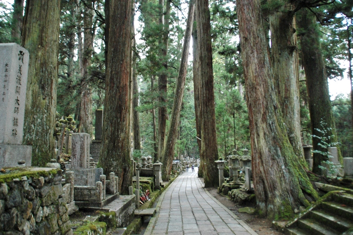 　　奥の院参道_b0093754_20451765.jpg