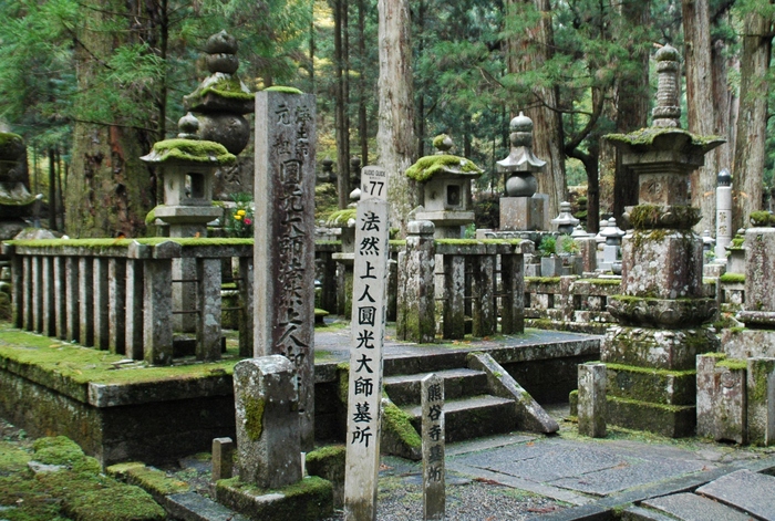 　　奥の院参道_b0093754_20472058.jpg