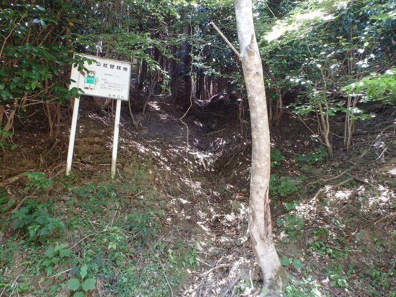 c0097754_15535138.jpg