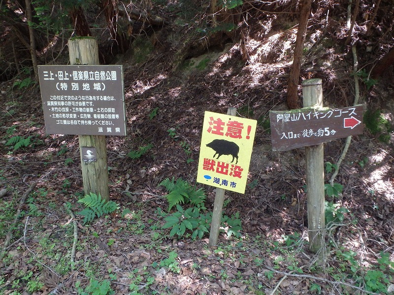 c0097754_15575875.jpg