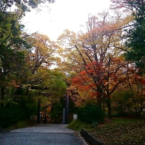 c0311170_12065683.jpg